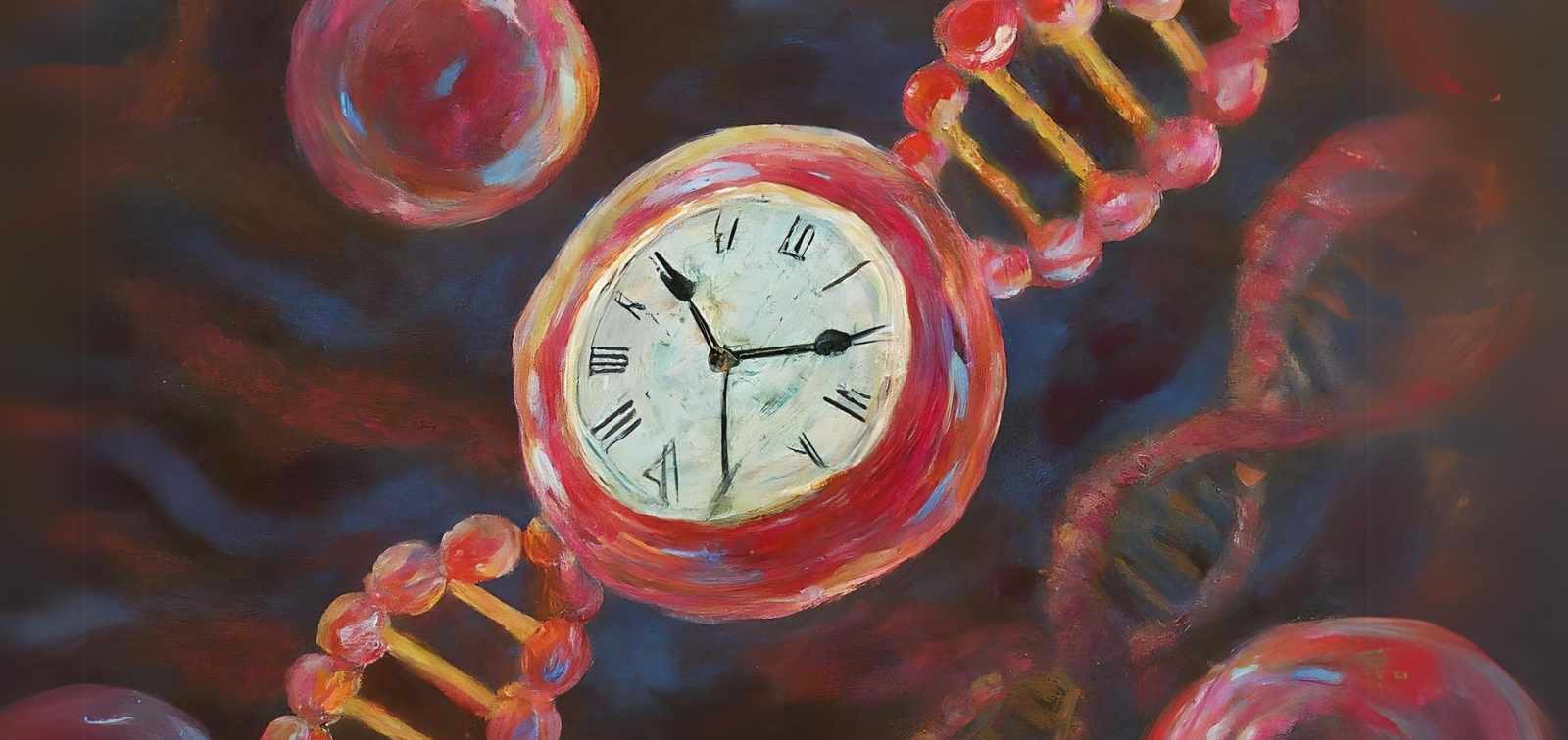 Epigenetic clock