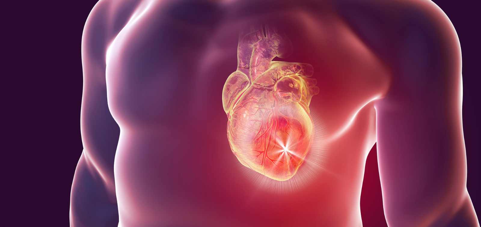 AI for improved cardiac diagnostic efficiency